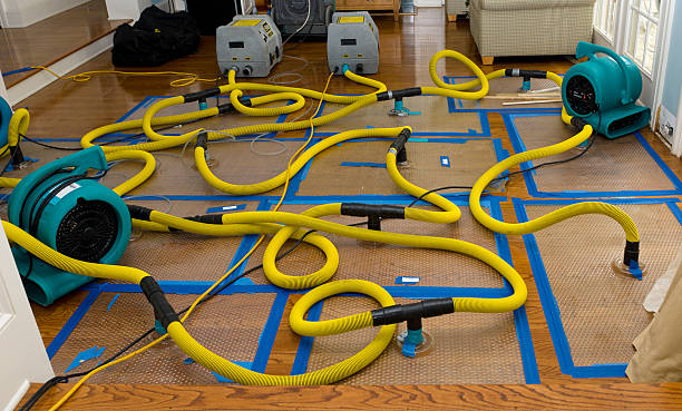 Professional Water Damage Repair technician working in Rye, TX